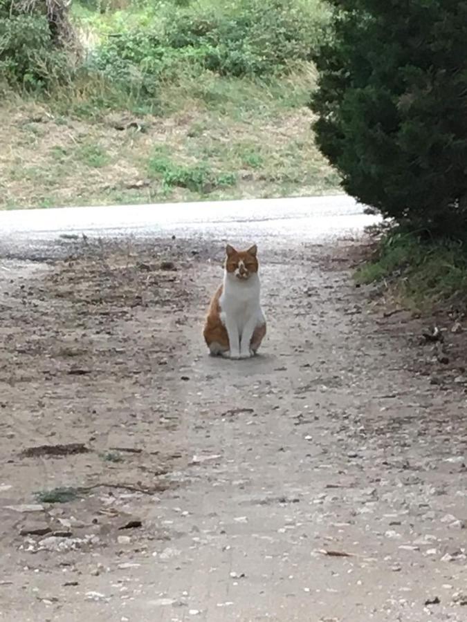 Le Mas Du Pigeonnier Réauville Kültér fotó